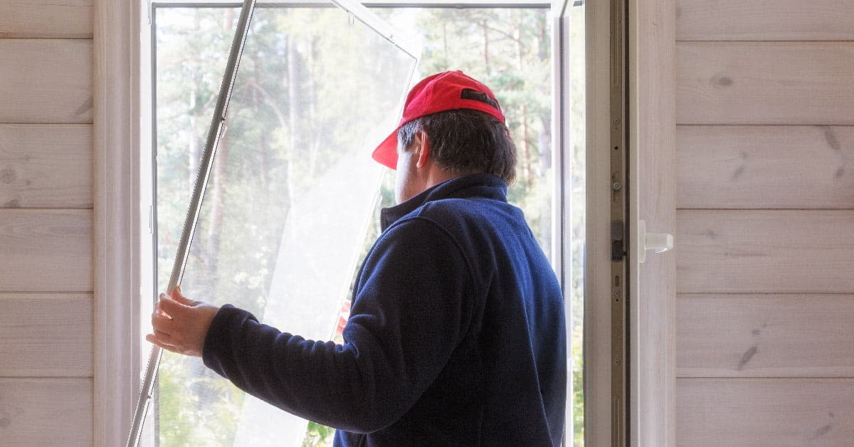 Cómo limpiar mosquiteras instalador de mosquiteras Glosojor