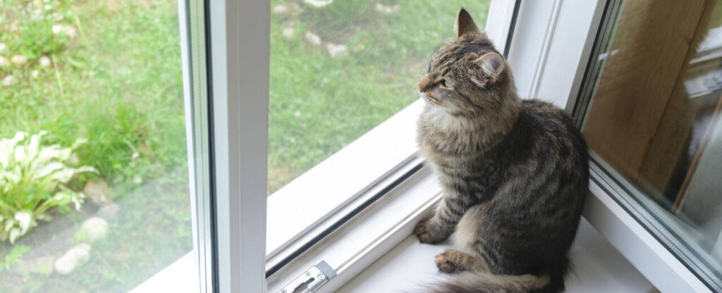 mosquiteras con motor